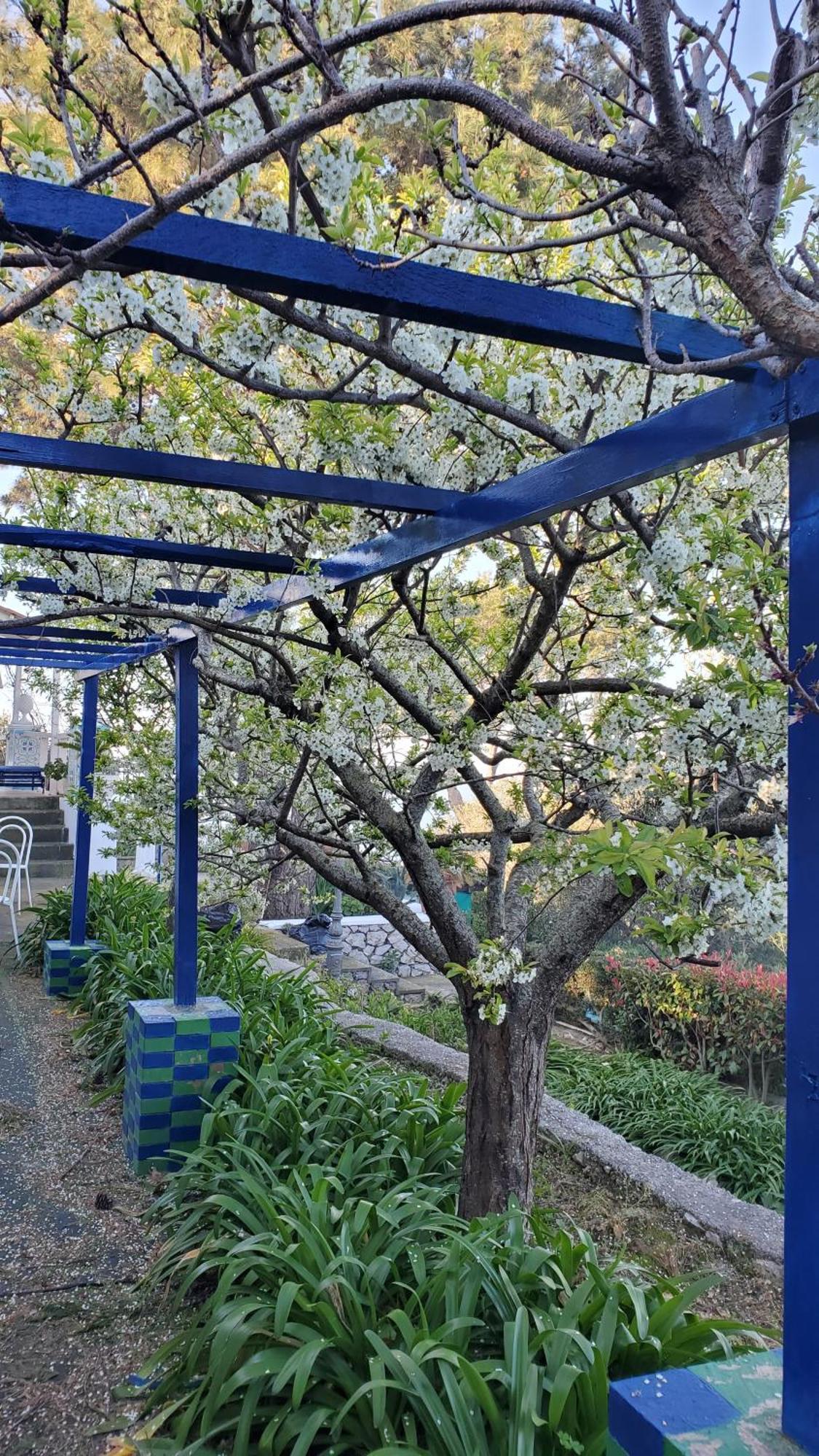 阿纳卡普里Bb La Guardiia住宿加早餐旅馆 外观 照片